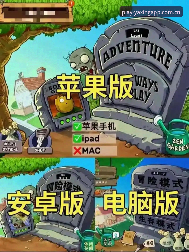 亚星手机版更新选择深度评测：安卓与苹果版哪个更适合你？
